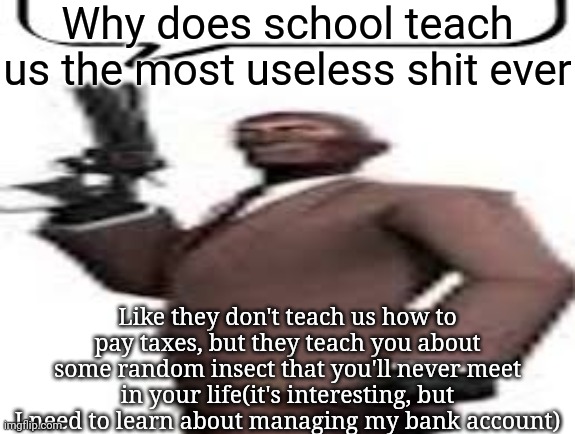 Tf2 spy | Why does school teach us the most useless shit ever; Like they don't teach us how to pay taxes, but they teach you about some random insect that you'll never meet in your life(it's interesting, but I need to learn about managing my bank account) | image tagged in tf2 spy,msmg,memes | made w/ Imgflip meme maker