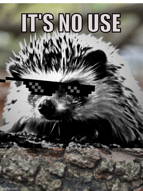 Silver Meme | IT'S NO USE | made w/ Imgflip meme maker
