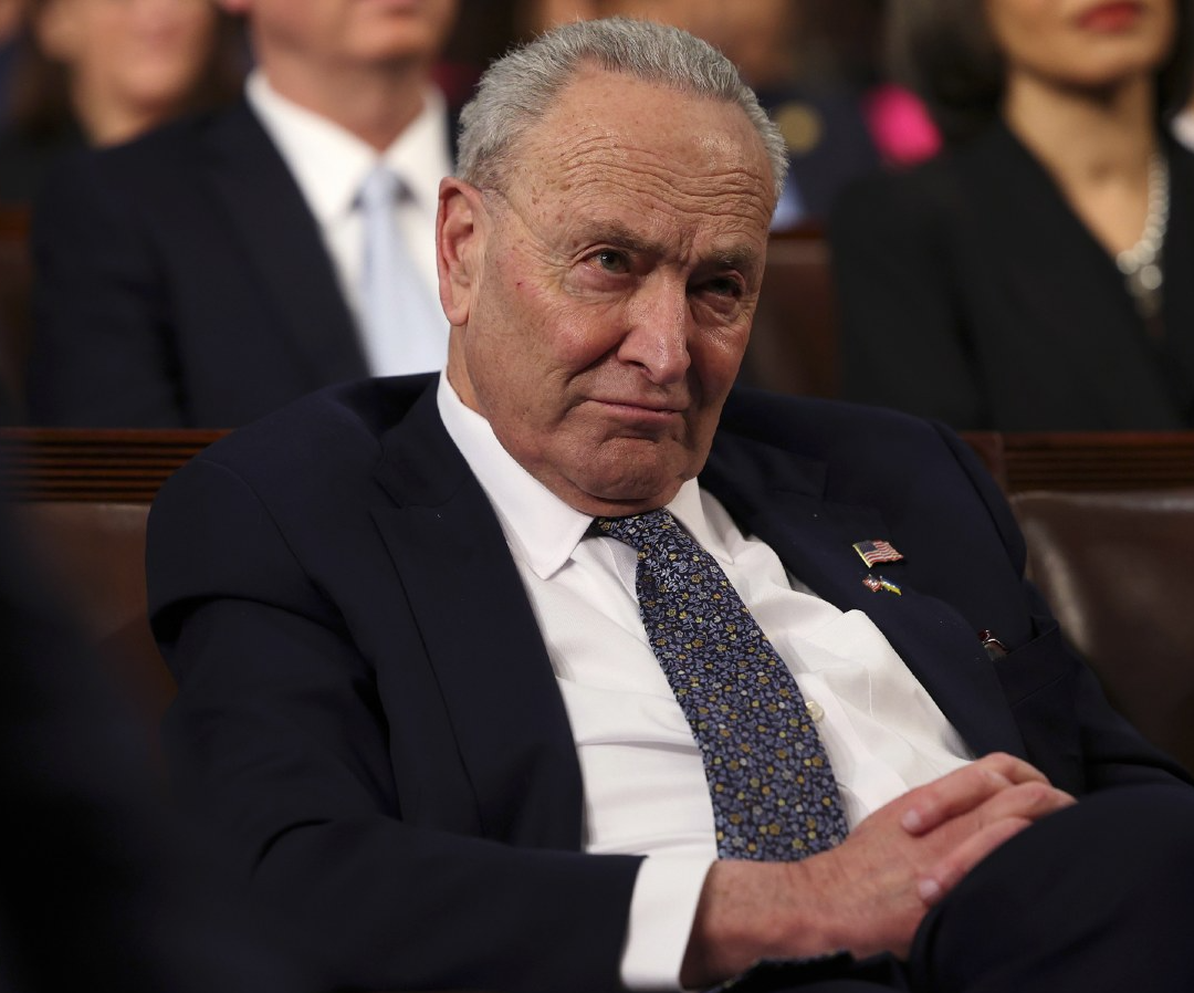 Chuck Schumer Blank Meme Template