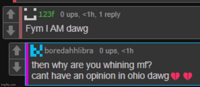 THIS MF DID NOT JUST MAKE A "in ohio" JOKE DAWG | made w/ Imgflip meme maker