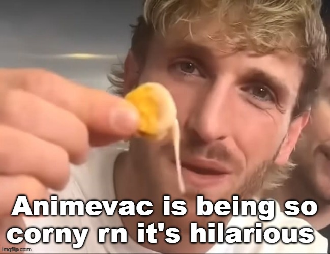 Bro thinks he foxy_501 | Animevac is being so corny rn it's hilarious | image tagged in i like my cheese drippy bruh | made w/ Imgflip meme maker