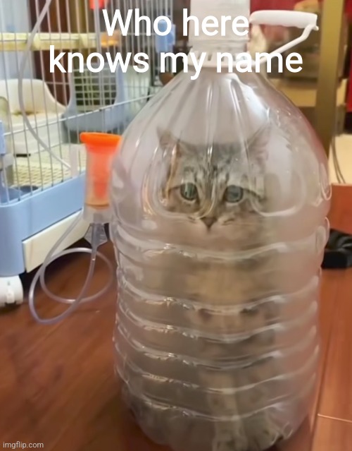 Who here knows my name | made w/ Imgflip meme maker