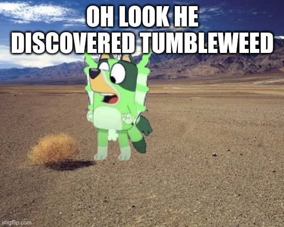 I sneezed when I made this, change title plz. | OH LOOK HE DISCOVERED TUMBLEWEED | image tagged in desert tumbleweed | made w/ Imgflip meme maker