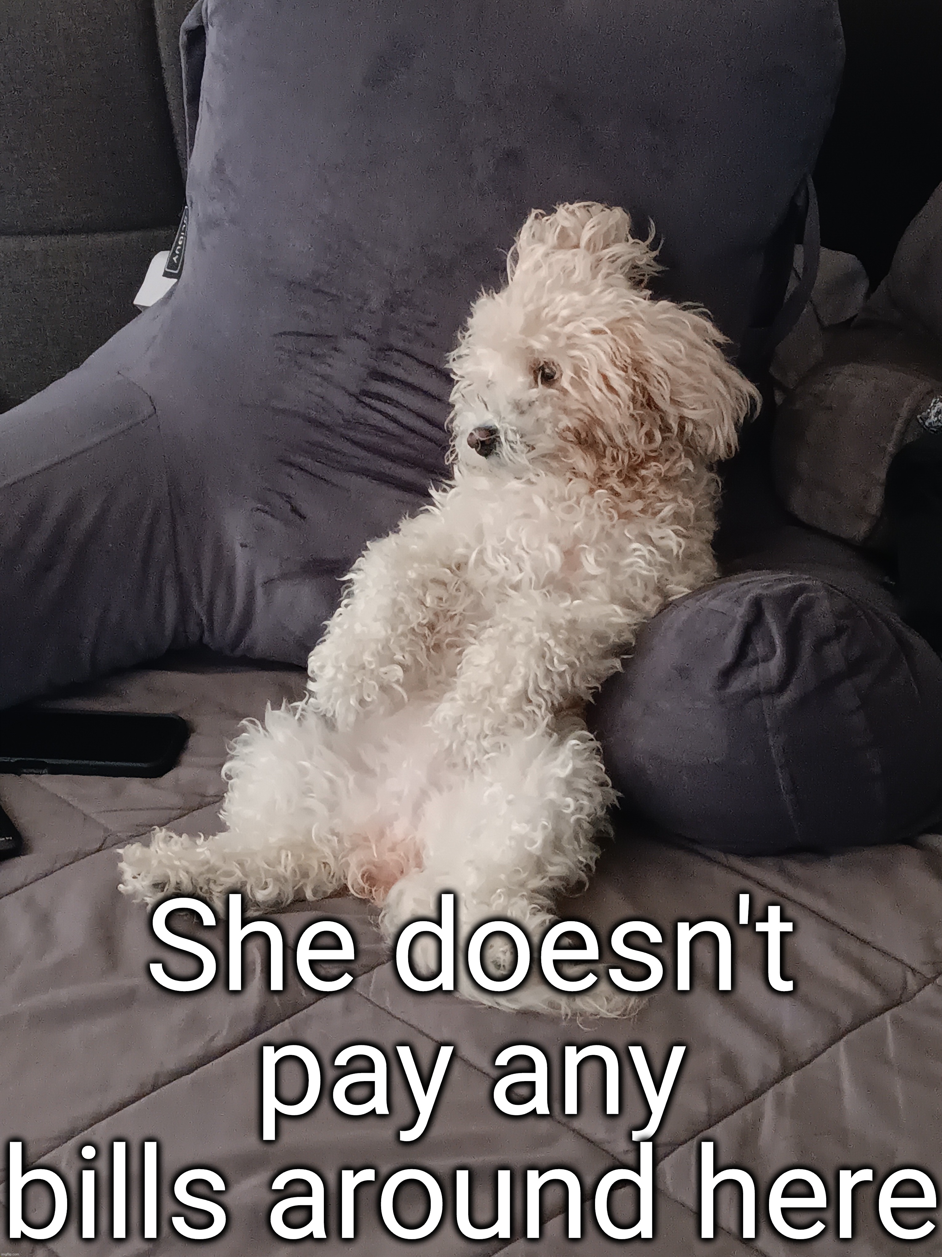 She doesn't pay any bills around here | made w/ Imgflip meme maker