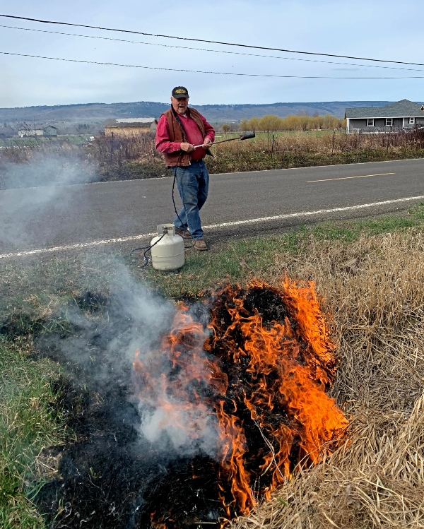Burning grass Blank Meme Template
