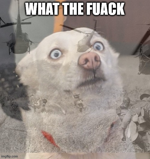 PTSD dog | WHAT THE FUACK | image tagged in ptsd dog | made w/ Imgflip meme maker