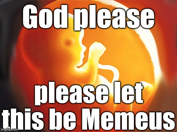 . | God please; please let this be Memeus | image tagged in unborn child | made w/ Imgflip meme maker