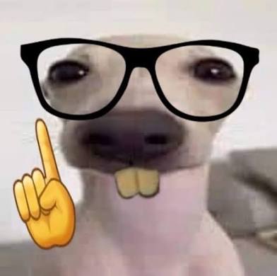 nerdy dog ☝️? Blank Meme Template