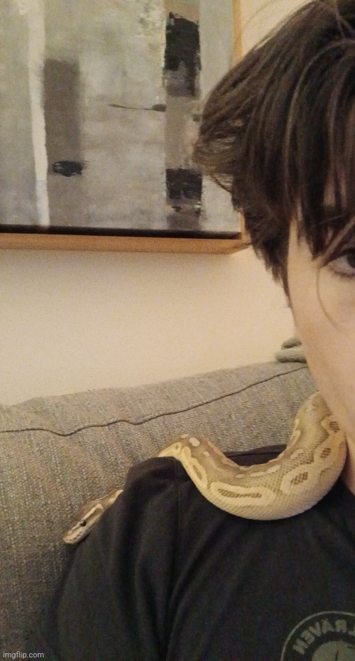 Snake reveal | made w/ Imgflip meme maker