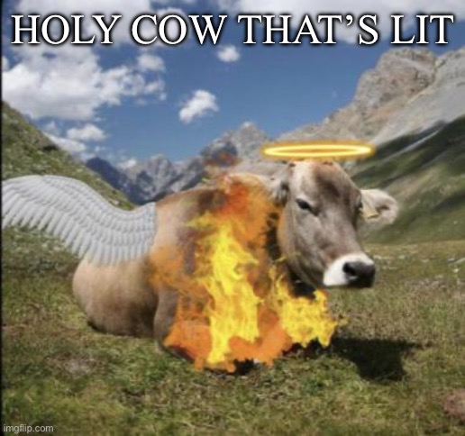 holy cow thats lit | HOLY COW THAT’S LIT | image tagged in holy cow thats lit | made w/ Imgflip meme maker