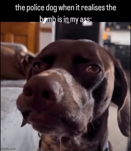 Police dog | made w/ Imgflip meme maker