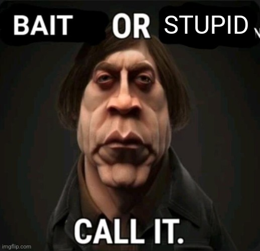 anton | STUPID | image tagged in anton | made w/ Imgflip meme maker