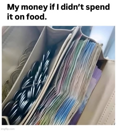 Even if I don't I still broke as shit buying cats food and plant food | made w/ Imgflip meme maker