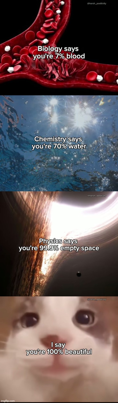 I rly love y'all if u still don't know | made w/ Imgflip meme maker