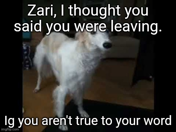 Low quality borzoi dog | Zari, I thought you said you were leaving. Ig you aren't true to your word | image tagged in low quality borzoi dog | made w/ Imgflip meme maker