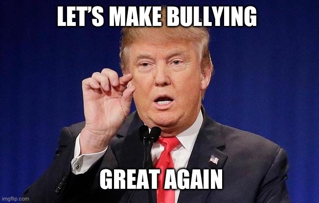 Tiny Dick Don | LET’S MAKE BULLYING GREAT AGAIN | image tagged in tiny dick don | made w/ Imgflip meme maker
