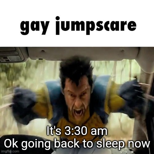 It's 3:30 am
Ok going back to sleep now | made w/ Imgflip meme maker