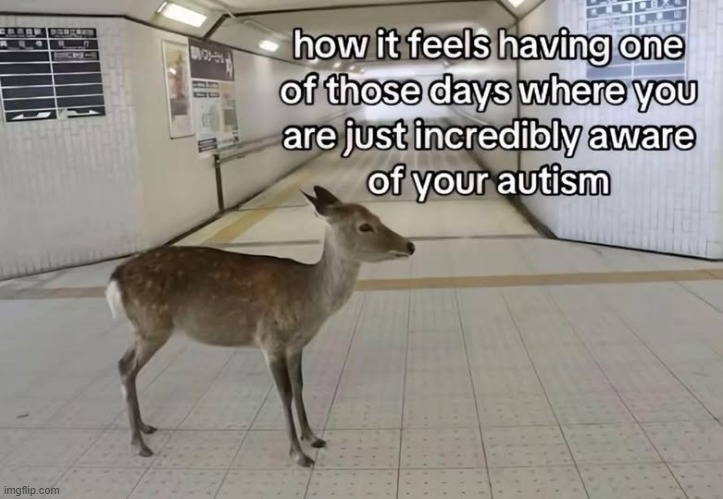 This is me today! :D | made w/ Imgflip meme maker