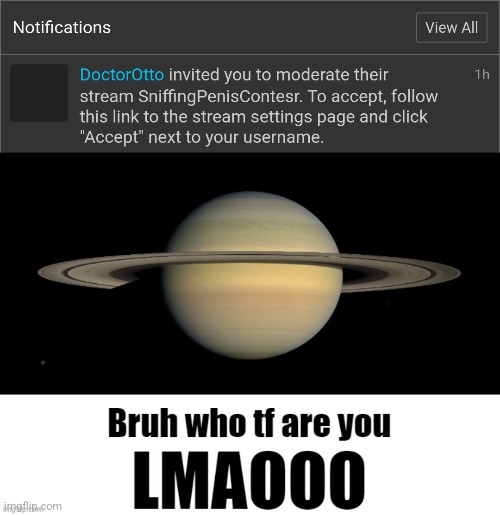 image tagged in bruh who tf are you lmaooo | made w/ Imgflip meme maker