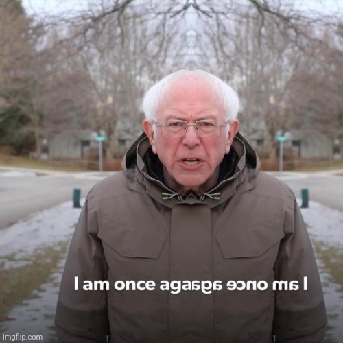 Bernie I Am Once Again Asking For Your Support Meme | image tagged in memes,bernie i am once again asking for your support | made w/ Imgflip meme maker