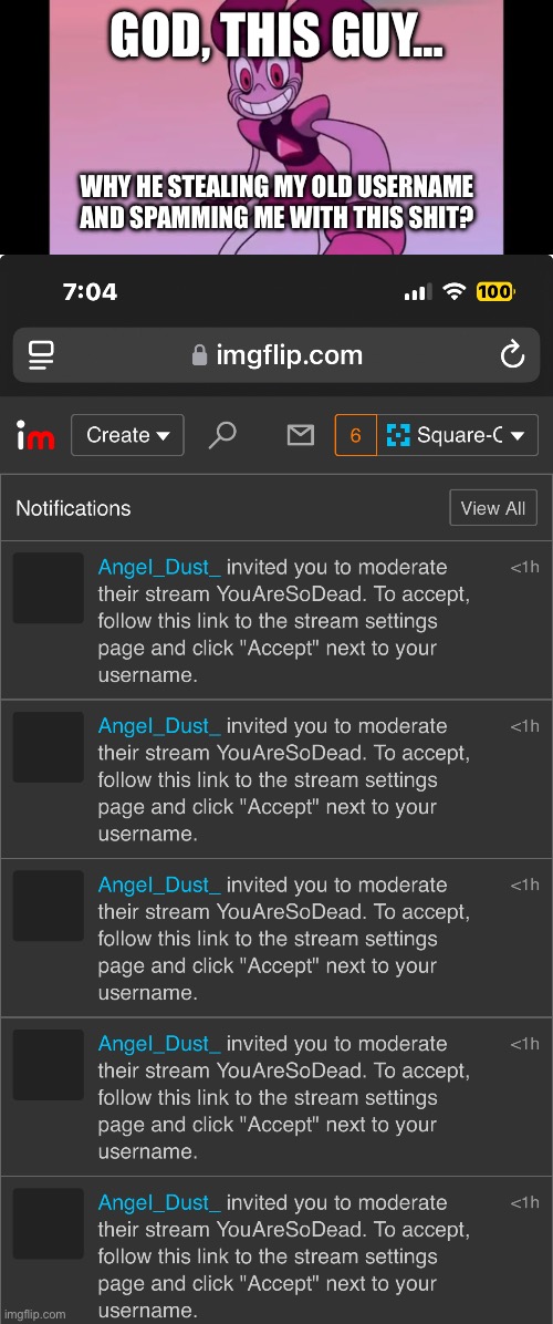 This infringes on my old username and I’m being targeted. | GOD, THIS GUY…; WHY HE STEALING MY OLD USERNAME AND SPAMMING ME WITH THIS SHIT? | image tagged in spinel staring at you | made w/ Imgflip meme maker