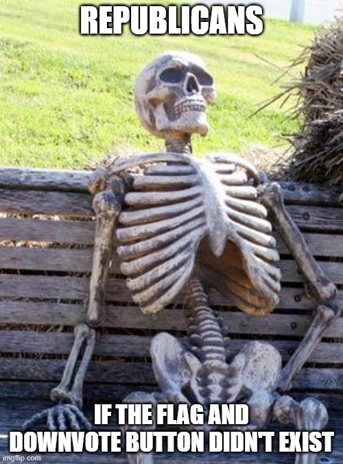 A Liberal has a good point... DOWNVOTED | REPUBLICANS; IF THE FLAG AND DOWNVOTE BUTTON DIDN'T EXIST | image tagged in memes,waiting skeleton,pathetic don | made w/ Imgflip meme maker