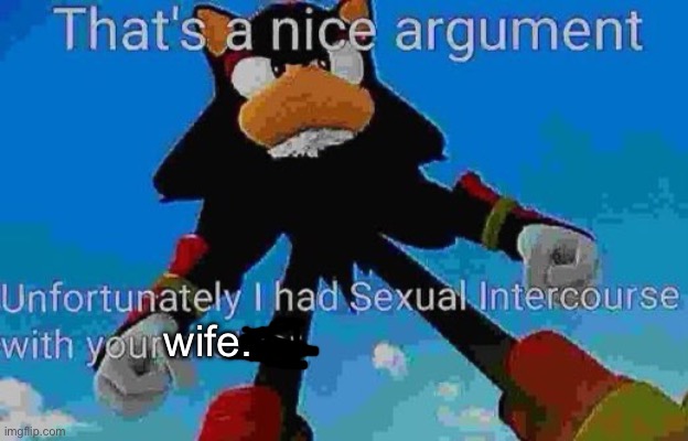 That's a nice argument | wife. | image tagged in that's a nice argument | made w/ Imgflip meme maker