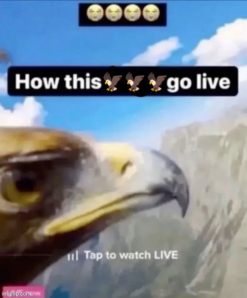 🦅🦅🦅 | made w/ Imgflip meme maker