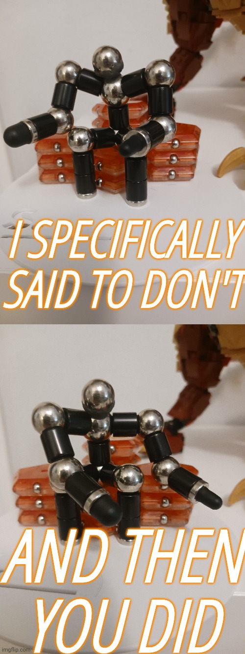 I SPECIFICALLY SAID TO DON'T AND THEN YOU DID | made w/ Imgflip meme maker