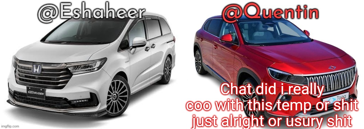 Cook* | Chat did i really coo with this temp or shit just alright or usury shit | image tagged in eshahir and quentin temp | made w/ Imgflip meme maker