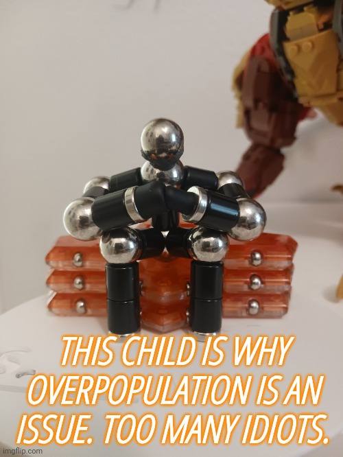 THIS CHILD IS WHY OVERPOPULATION IS AN ISSUE. TOO MANY IDIOTS. | made w/ Imgflip meme maker