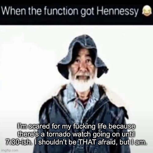da function got hennessy | I’m scared for my fucking life because there’s a tornado watch going on until 7:30-ish. I shouldn’t be THAT afraid, but I am. | image tagged in da function got hennessy | made w/ Imgflip meme maker