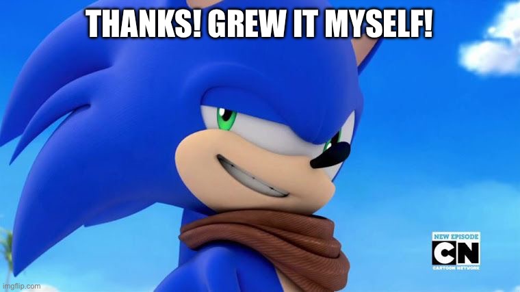 Sonic Meme | THANKS! GREW IT MYSELF! | image tagged in sonic meme | made w/ Imgflip meme maker