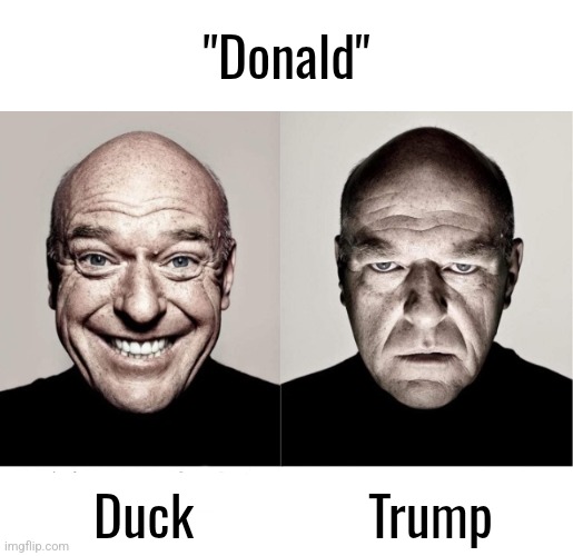 Donal trump is N O T my president | "Donald"; Duck; Trump | image tagged in breaking bad smile frown | made w/ Imgflip meme maker