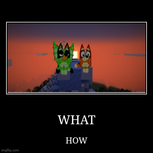 WHAT HOW | WHAT | HOW | made w/ Imgflip demotivational maker