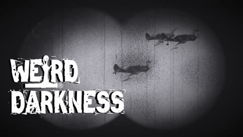 THE MYSTERIOUS DISAPPEARANCE OF FLIGHT 19: What Really Happened?