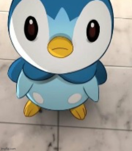 Piplup | made w/ Imgflip meme maker
