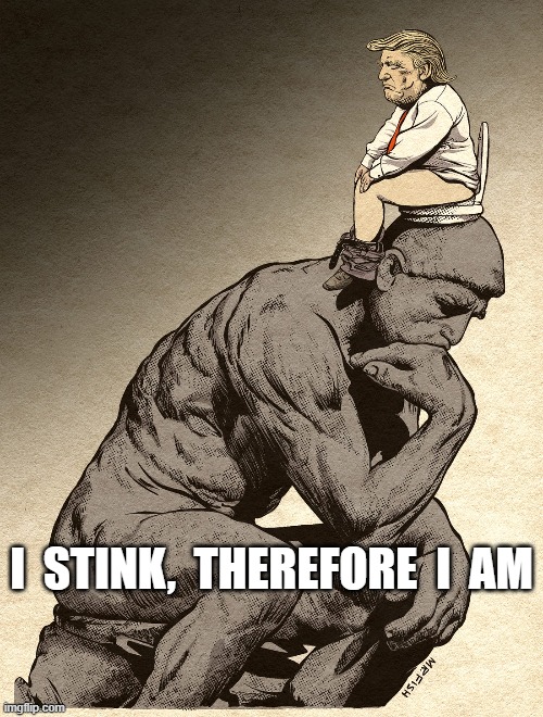 The Great Stinker | I  STINK,  THEREFORE  I  AM | image tagged in donald trump | made w/ Imgflip meme maker