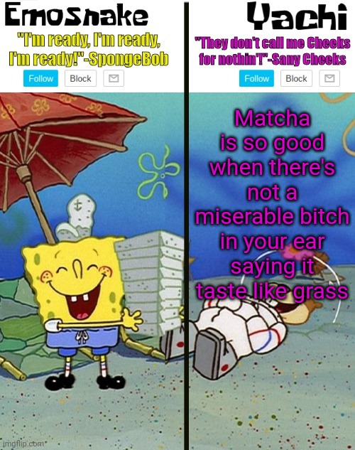 Emosnake and yachi temp | Matcha is so good when there's not a miserable bitch in your ear saying it taste like grass | image tagged in emosnake and yachi temp | made w/ Imgflip meme maker