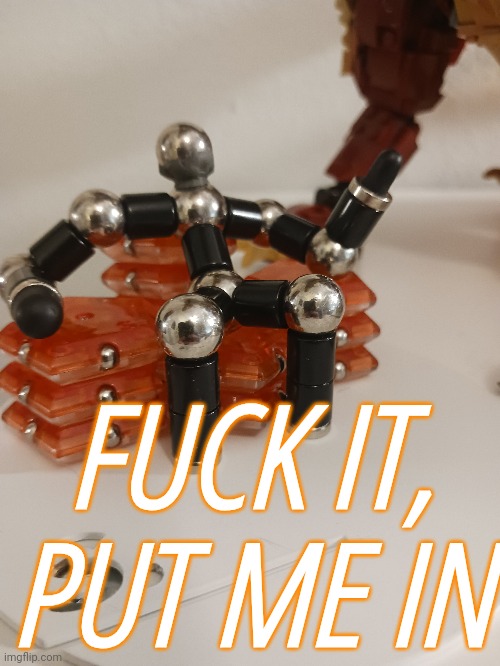 FUCK IT, PUT ME IN | made w/ Imgflip meme maker