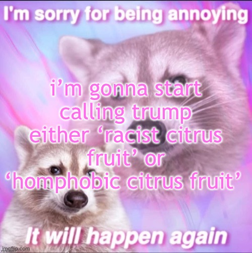 sorry for being annoying | i’m gonna start calling trump either ‘racist citrus fruit’ or ‘homphobic citrus fruit’ | image tagged in sorry for being annoying | made w/ Imgflip meme maker