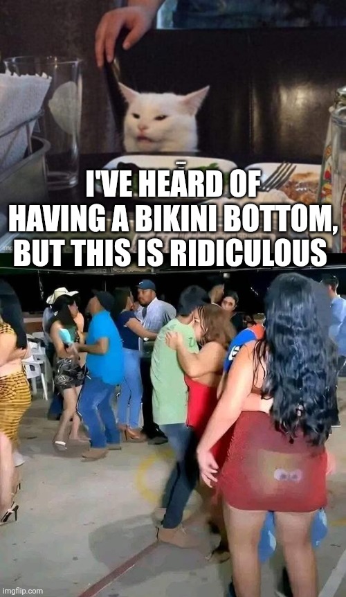 I'VE HEARD OF HAVING A BIKINI BOTTOM, BUT THIS IS RIDICULOUS | image tagged in smudge that darn cat | made w/ Imgflip meme maker