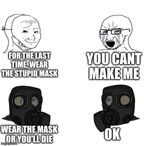 Chad we know | FOR THE LAST TIME, WEAR THE STUPID MASK YOU CANT MAKE ME WEAR THE MASK OR YOU'LL DIE OK | image tagged in chad we know | made w/ Imgflip meme maker