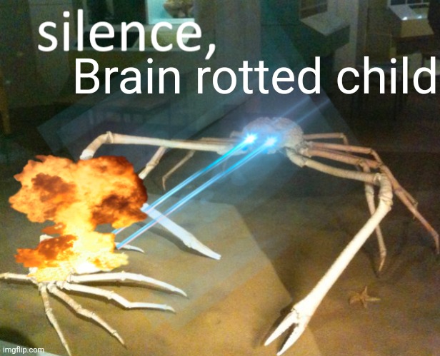 Silence Crab | Brain rotted child | image tagged in silence crab | made w/ Imgflip meme maker