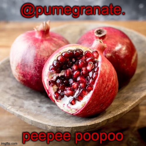 moderately lazy temp | peepee poopoo | image tagged in moderately lazy temp | made w/ Imgflip meme maker