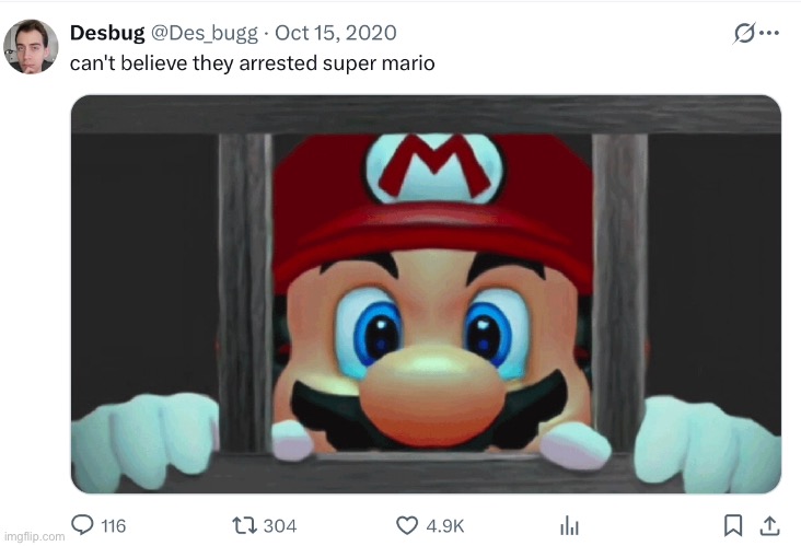 this guy is lowkey the funniest mario youtuber i’ve ever seen | made w/ Imgflip meme maker