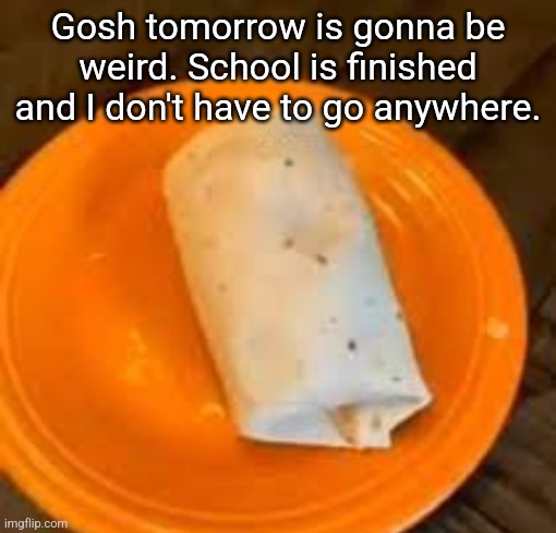 JimmyHere Burrito | Gosh tomorrow is gonna be weird. School is finished and I don't have to go anywhere. | image tagged in jimmyhere burrito | made w/ Imgflip meme maker