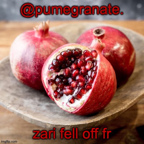 moderately lazy temp | zari fell off fr | image tagged in moderately lazy temp | made w/ Imgflip meme maker