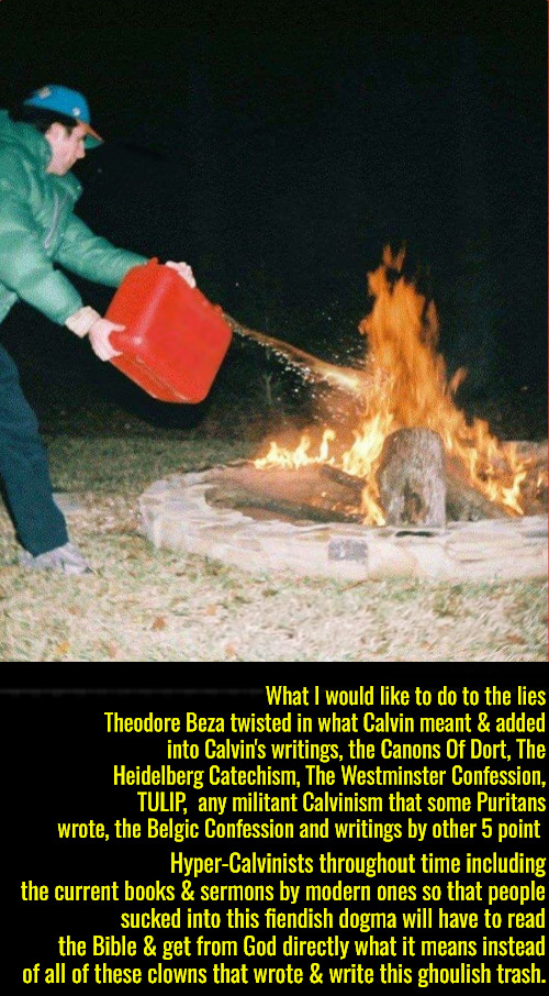 What I Would Like To Do | What I would like to do to the lies Theodore Beza twisted in what Calvin meant & added into Calvin's writings, the Canons Of Dort, The Heidelberg Catechism, The Westminster Confession, TULIP,  any militant Calvinism that some Puritans wrote, the Belgic Confession and writings by other 5 point; Hyper-Calvinists throughout time including the current books & sermons by modern ones so that people sucked into this fiendish dogma will have to read the Bible & get from God directly what it means instead of all of these clowns that wrote & write this ghoulish trash. | image tagged in pouring gas on fire,calvinism,arminian,molinism,reformed theology 5 point hyper calvinists,ai nuanced gnostic lie | made w/ Imgflip meme maker