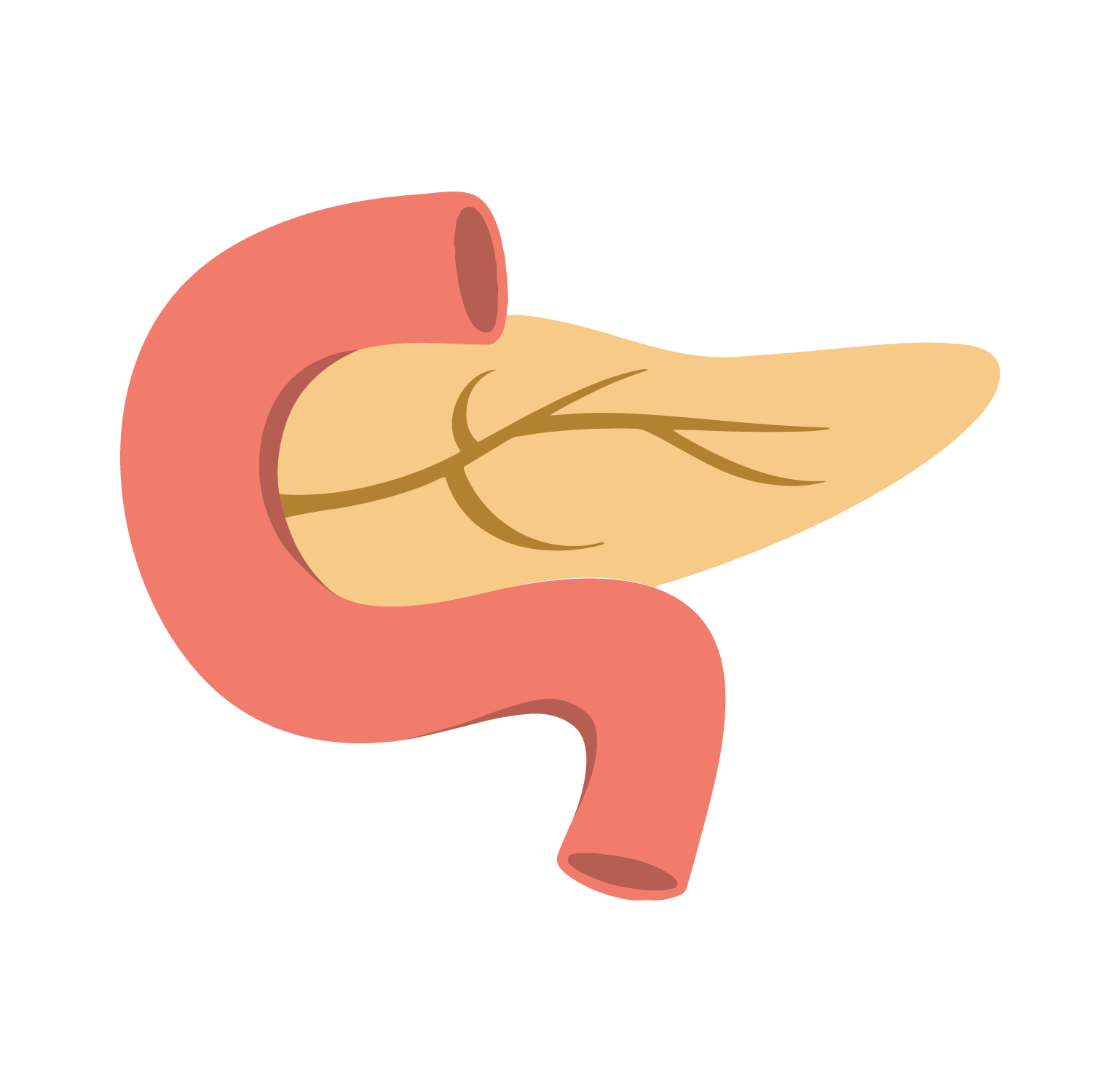 High Quality Pancreas Blank Meme Template